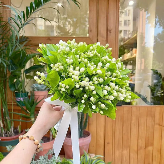 OSTATNI DZIEŃ PROMOCJI - 35% ZNIŻKI 🌸 Roślina doniczkowa Jaśmin (🌱Gwarancja przetrwania: Darmowa wymiana🌿)