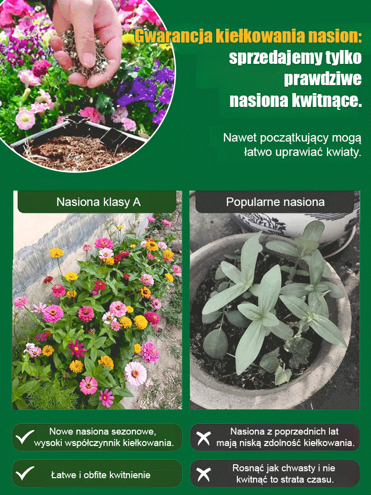 【Marka polecana przez ogrodników / Wystarczy ziemia, aby żyć】Całoroczna kompozycja kwiatów.