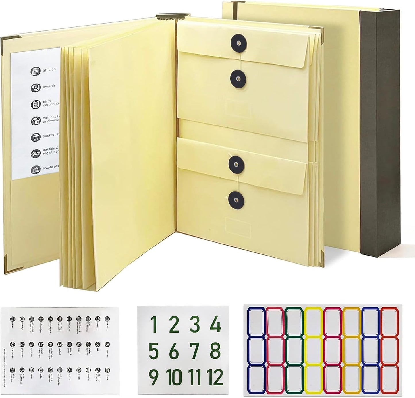 Organizer akordeonowy Folio