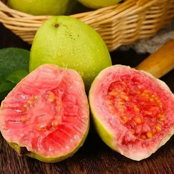 🔥Organiczne nasiona różowej guawy | 🌿Przygotowane do szybkiego kiełkowania (99% kiełkowania)