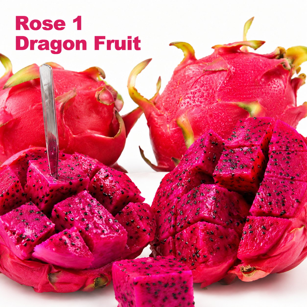 Dragon fruit seedlings – Grow exotic, sweet and delicious dragon fruit at home 🌵