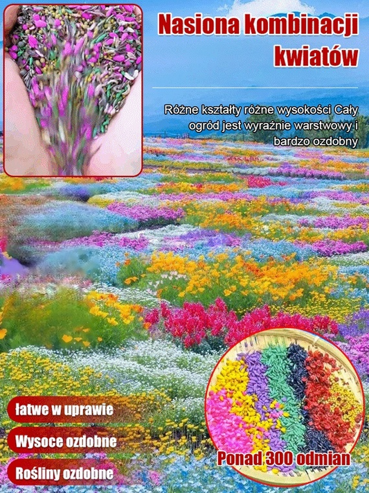 Cztery pory roku kwitnienia - mieszanka nasion kwiatów