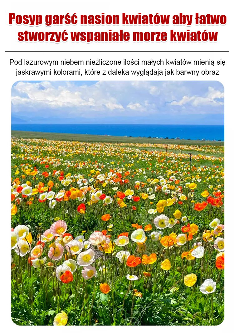 Cztery pory roku kwitnienia - mieszanka nasion kwiatów