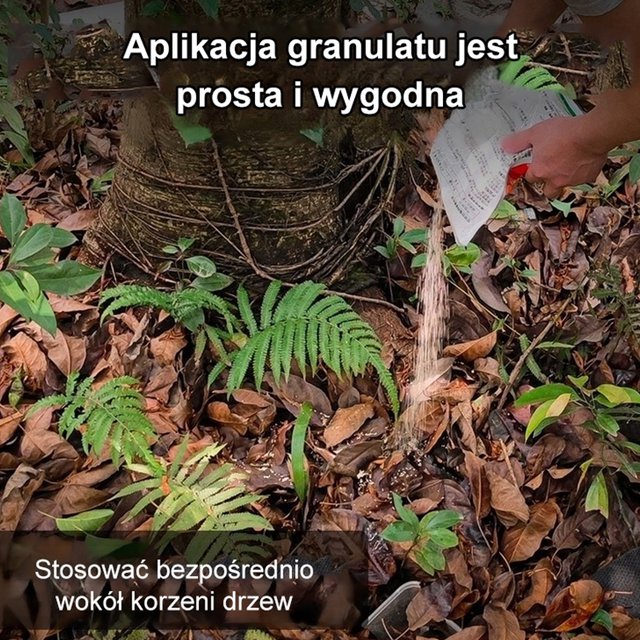 Drzewo bambusowe herbicyd