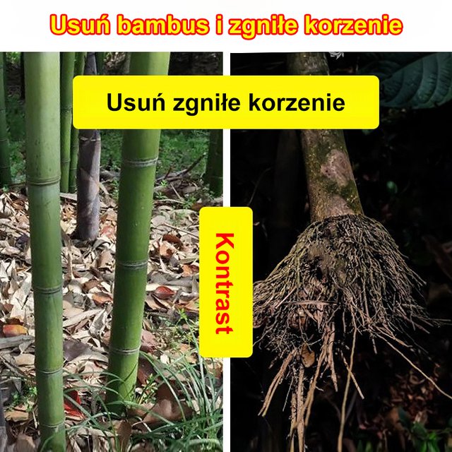 Drzewo bambusowe herbicyd