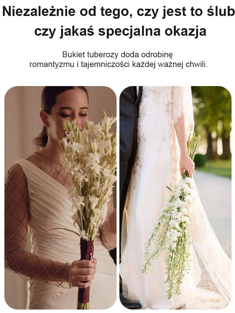 【Bardziej pachnący niż perfumy】Kwiaty tuberozy pachnące na tysiące mil，Kwitnie co roku