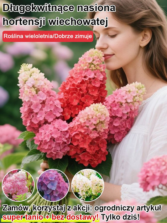 Nasiona hortensji truskawkowej Four Seasons Flowering