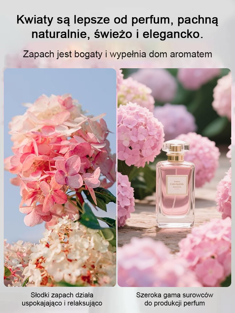 Nasiona hortensji truskawkowej Four Seasons Flowering