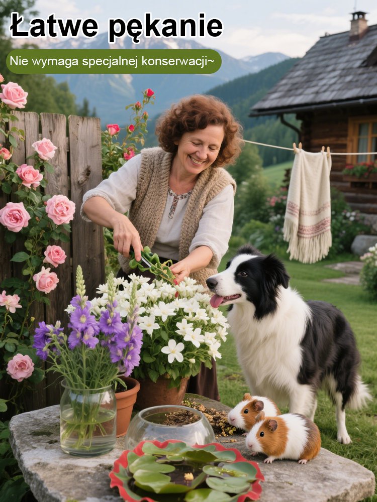 [Żyje po podlaniu] Wiele odmian silpachnących szybkosadnych nasion kwiat+z dołączoną cegłą kokosową