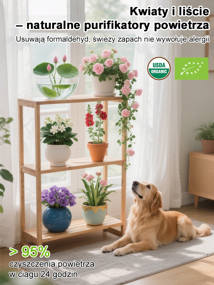 [Żyje po podlaniu] Wiele odmian silpachnących szybkosadnych nasion kwiat+z dołączoną cegłą kokosową