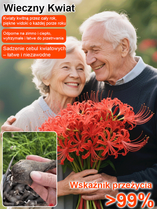 Całorocznie kwitnąca, mrozoodporna i odporna na upały cebulka Lycoris (kwiat tęsknoty)