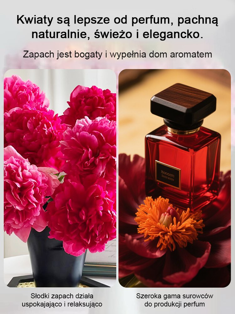 [Nasiona piwonii dwupłatkowej] Jedno nasiono, morze kwiatów