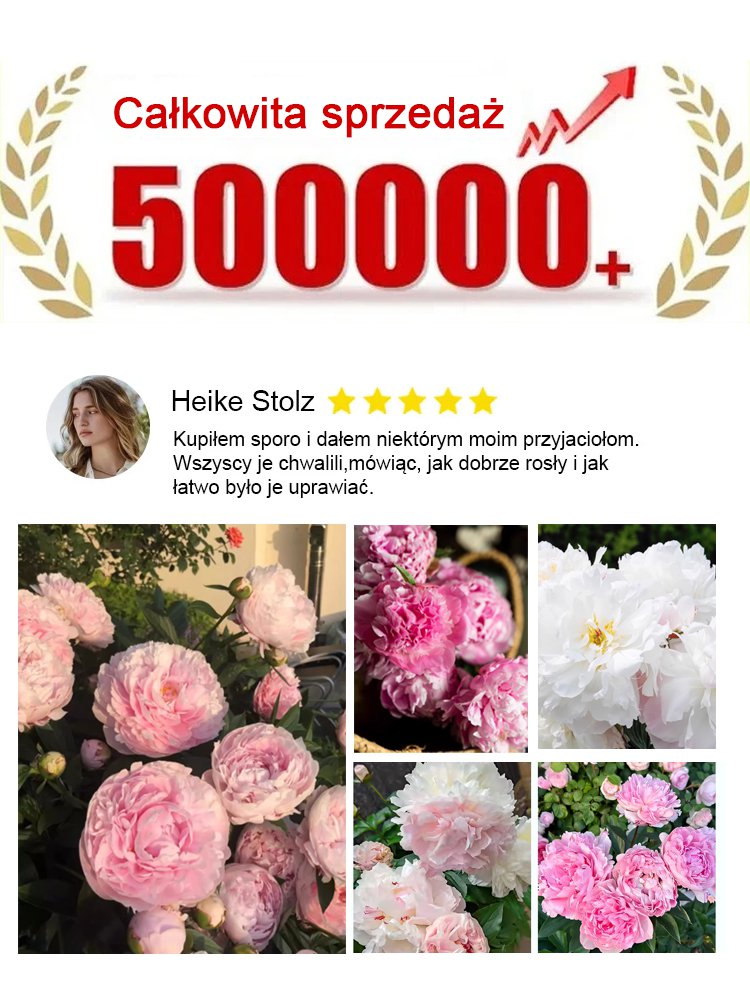 [Nasiona piwonii dwupłatkowej] Jedno nasiono, morze kwiatów