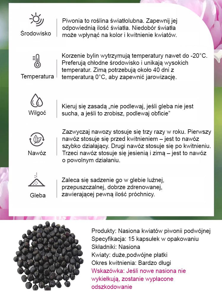 [Nasiona piwonii dwupłatkowej] Jedno nasiono, morze kwiatów