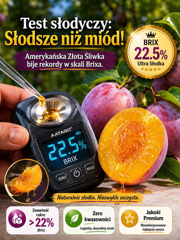 Dwuletnia szczepiona śliwa premium | Zbiór w pierwszym roku | Wysokoplenna odmiana europejska | Łatwa w uprawie