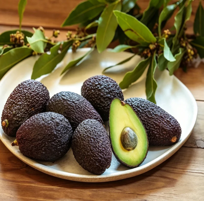 🍃 Seria Heirloom Manor: Zestaw 13 wybranych nasion owoców (bez GMO) 🌳 – Najlepiej sprzedający się produkt