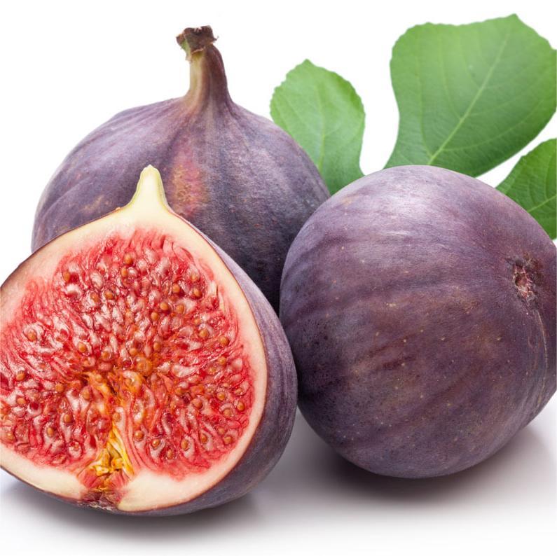 Nasiona fig SweetHarvest