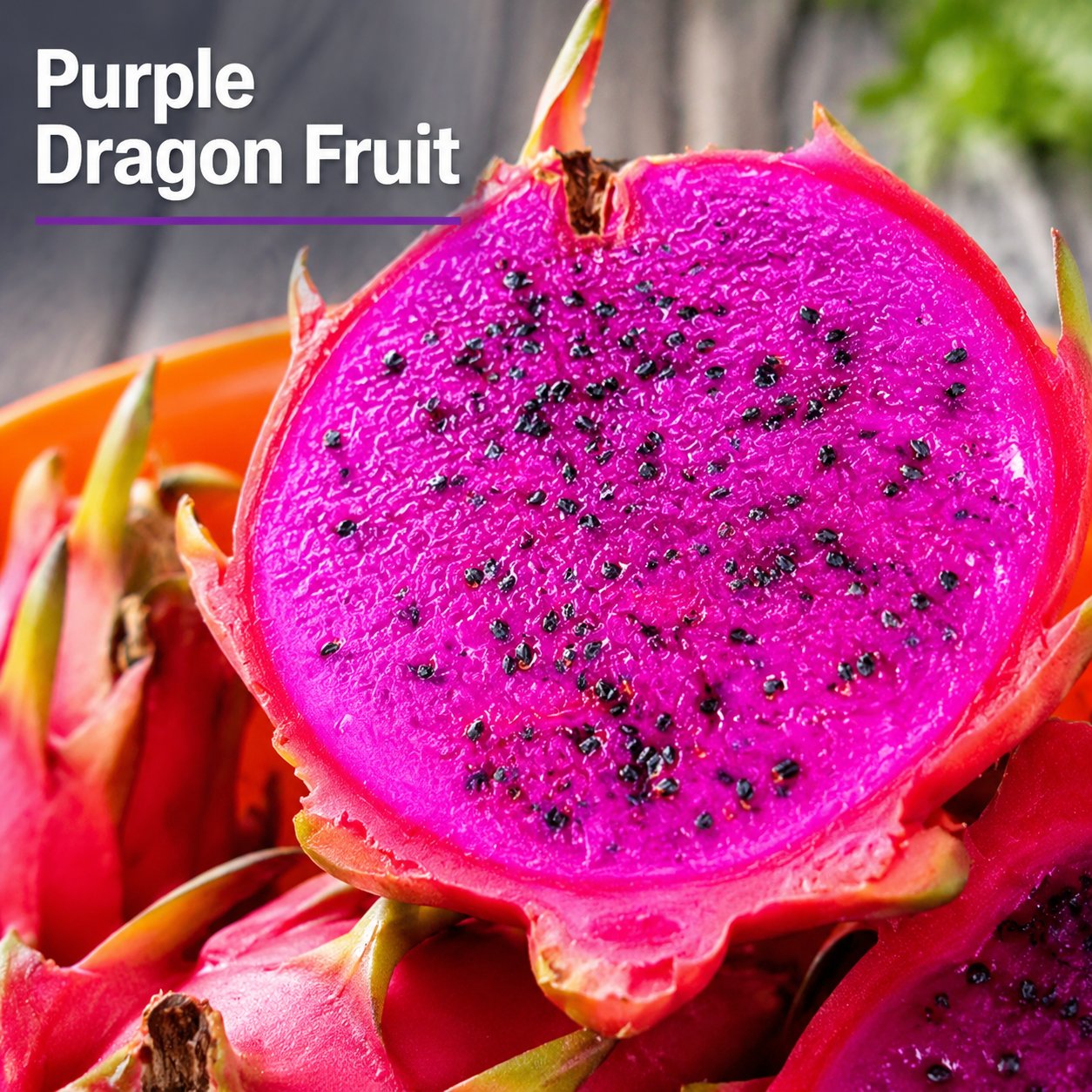 Dragon fruit seedlings – Grow exotic, sweet and delicious dragon fruit at home 🌵