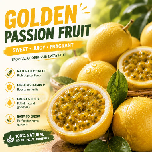 Nasiona marakui Golden Passion Fruit – uprawiaj słodką, egzotyczną marakuję w domu 🌟