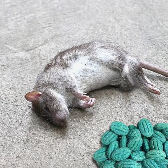 ✨Wysoce skuteczna przynęta na gryzonie✨🔥 KUP 1, DOSTAŃ 1 GRATIS! 🔥