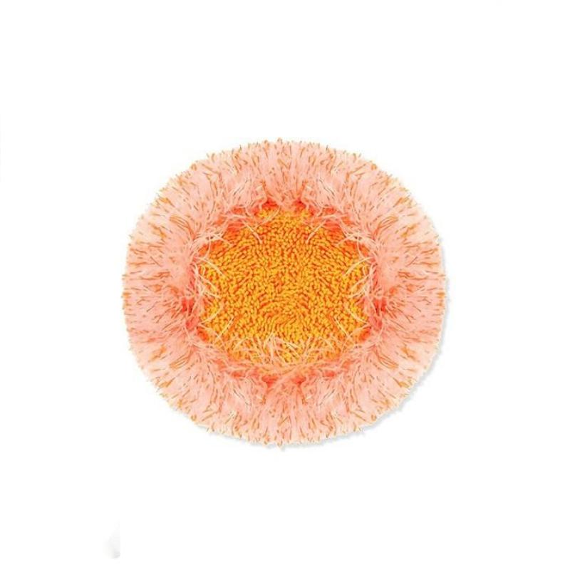 🌟 Obrotowy o 360° i regulowany mop do czyszczenia