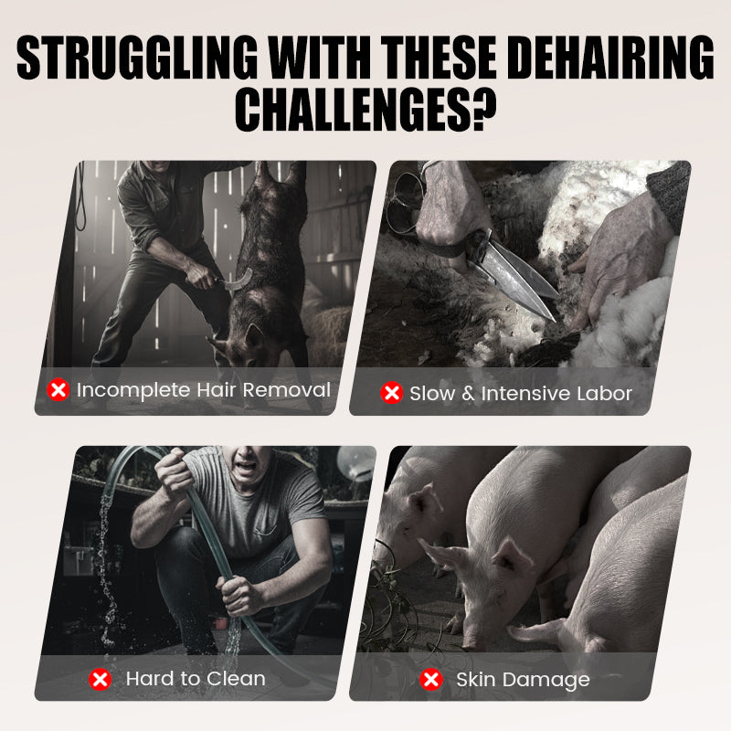 Wydajny skrobak do usuwania sierści zwierząt gospodarskich