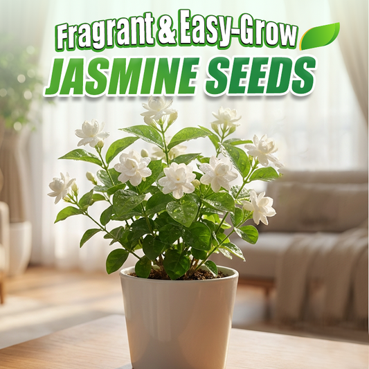 ✨🌸 Nasiona jaśminu (z nawozem): aromatyczne i łatwe w uprawie🍃