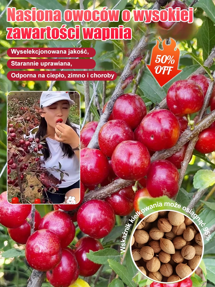【Wysoka produkcja wapnia】Mrozoodporne północne drzewo owocowe o wysokiej zawartości wapnia - nasiona