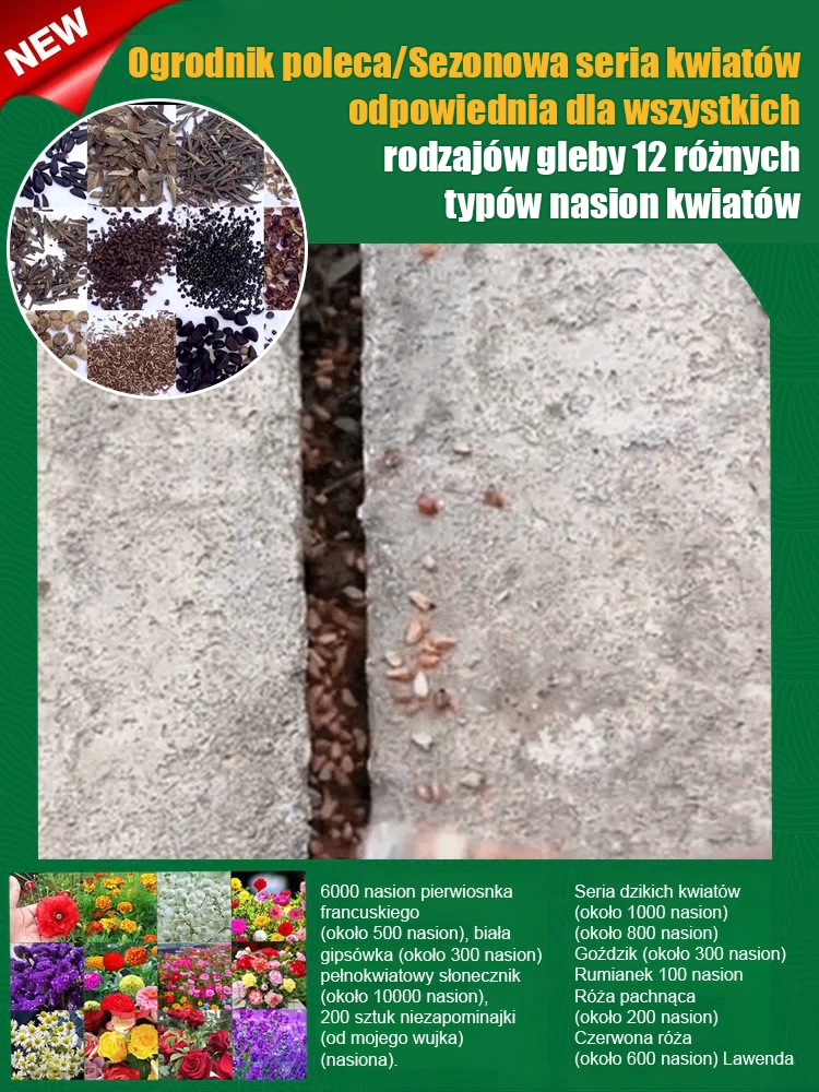 【Marka polecana przez ogrodników / Wystarczy ziemia, aby żyć】Całoroczna kompozycja kwiatów.